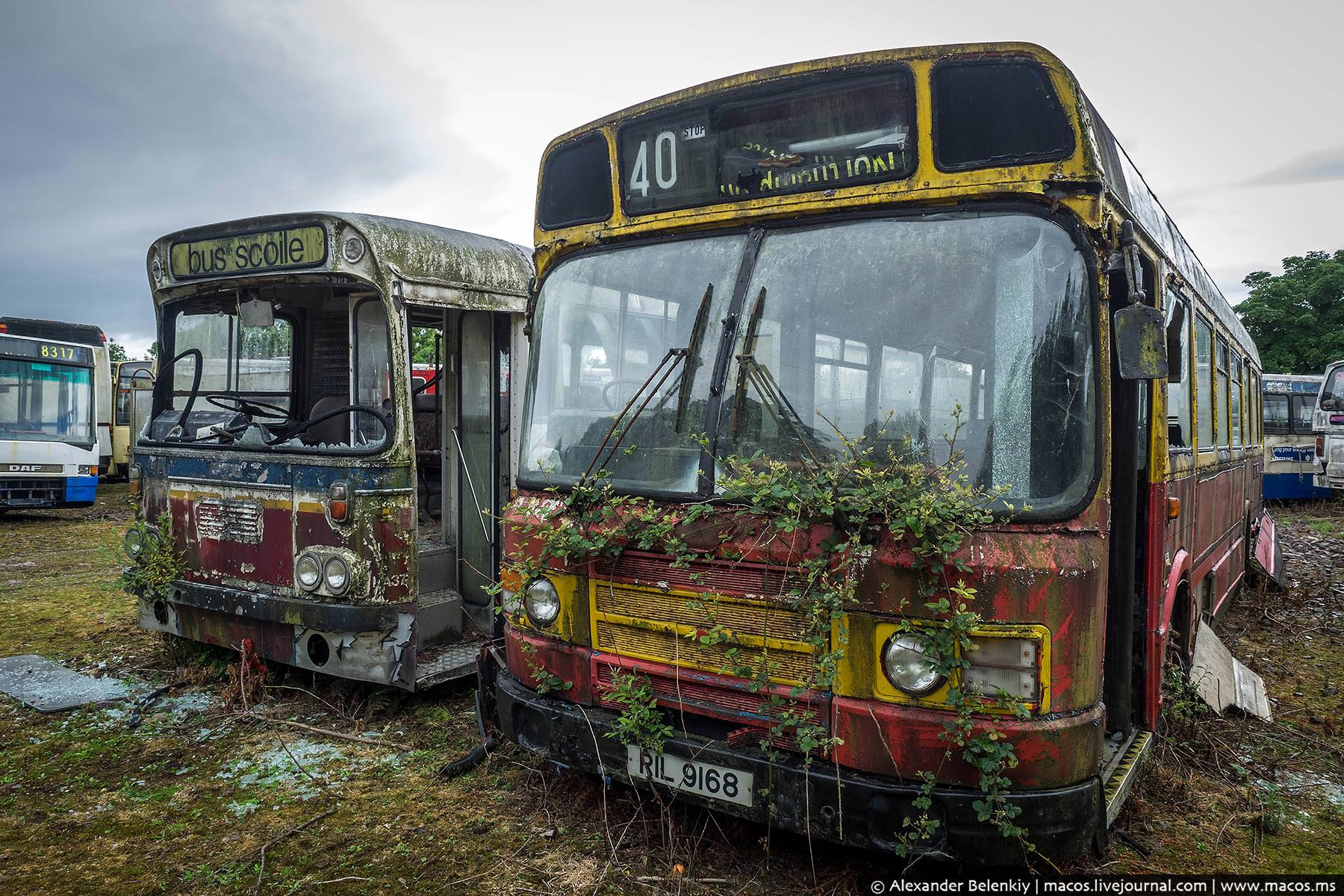 Фото заброшенных автобусов