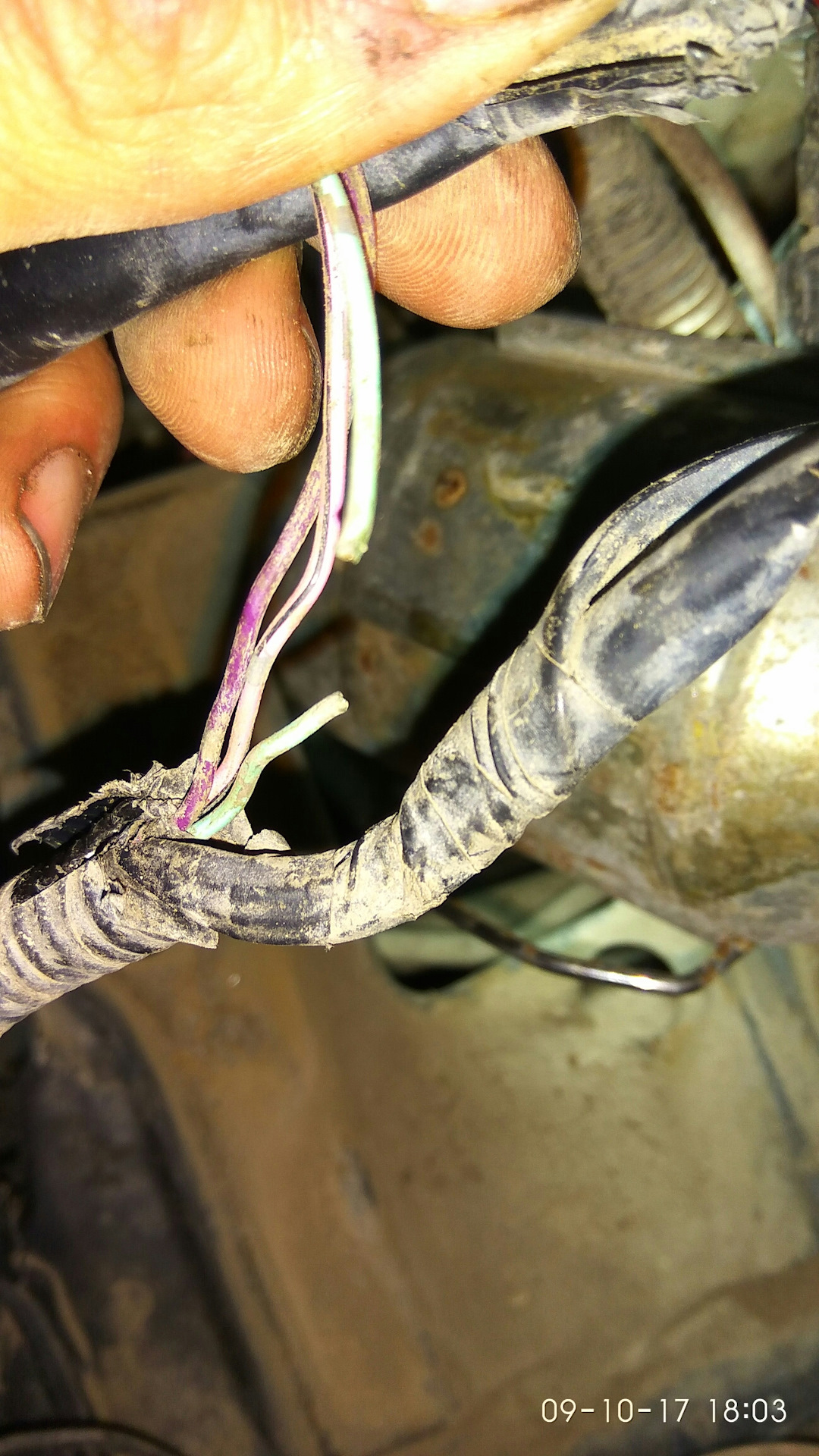 проводка в машине. тойота калдина 241 кузов электромагнитный клапан соленоид авс. обрыв или короткое замыкание. реле регулятор touareg 4. клапан сброса давления a9/1y1 w211.