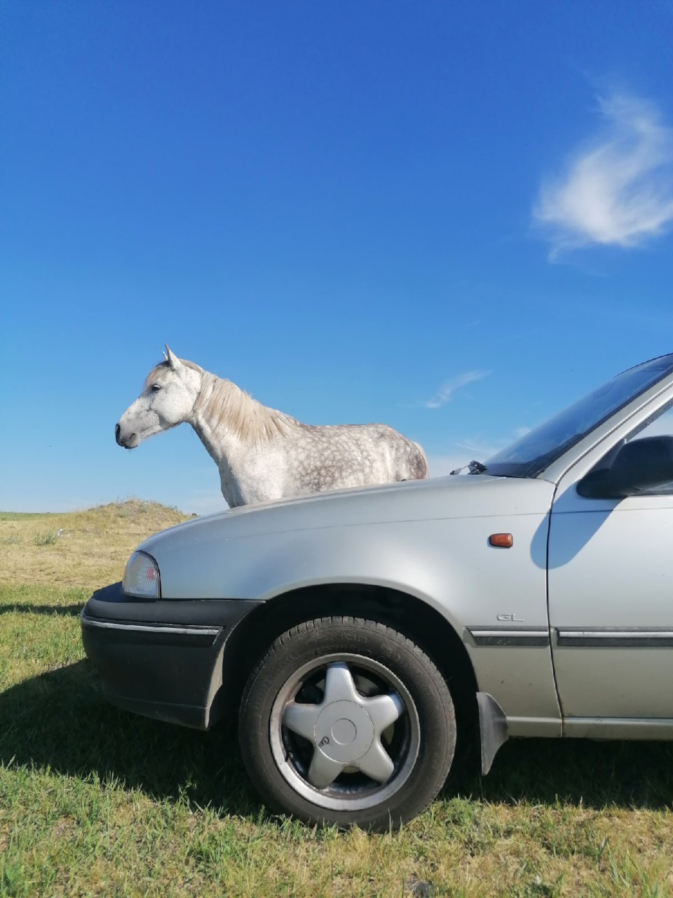 Подарок на день рождения… — Daewoo Nexia, 1,5 л, 2008 года | просто так |  DRIVE2