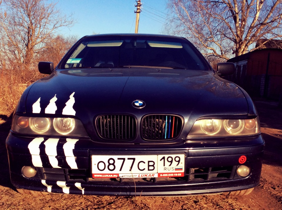 Выбор передних стоек) выбор сделан!😎 — BMW 5 series (E39), 2,5 л, 2002 ...