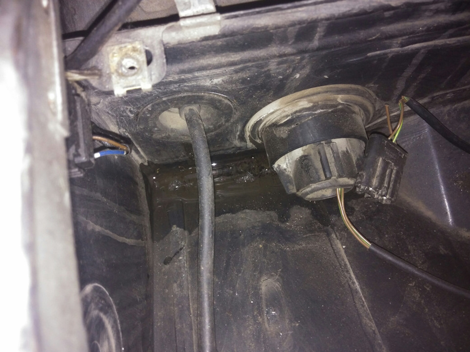32d5a99s-960.jpg