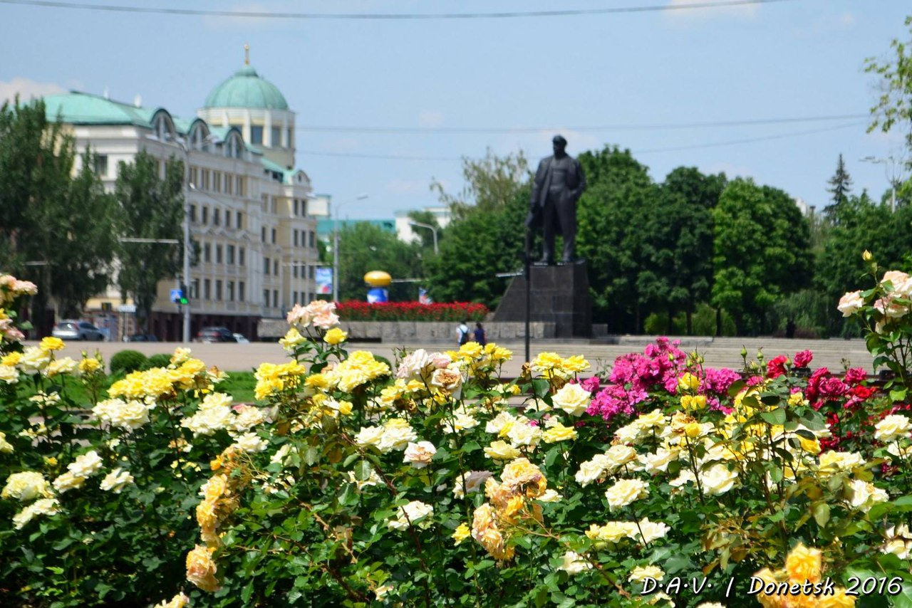 Площадь роза