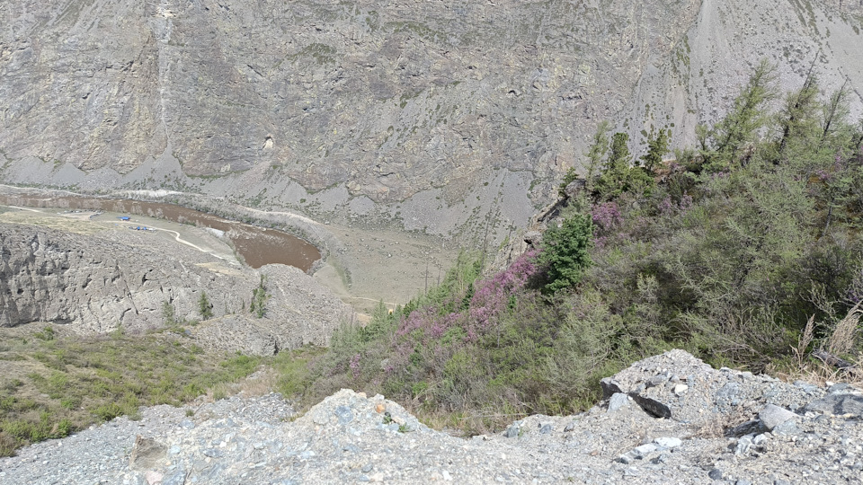 И маральник — Subaru Impreza (GD/GG)