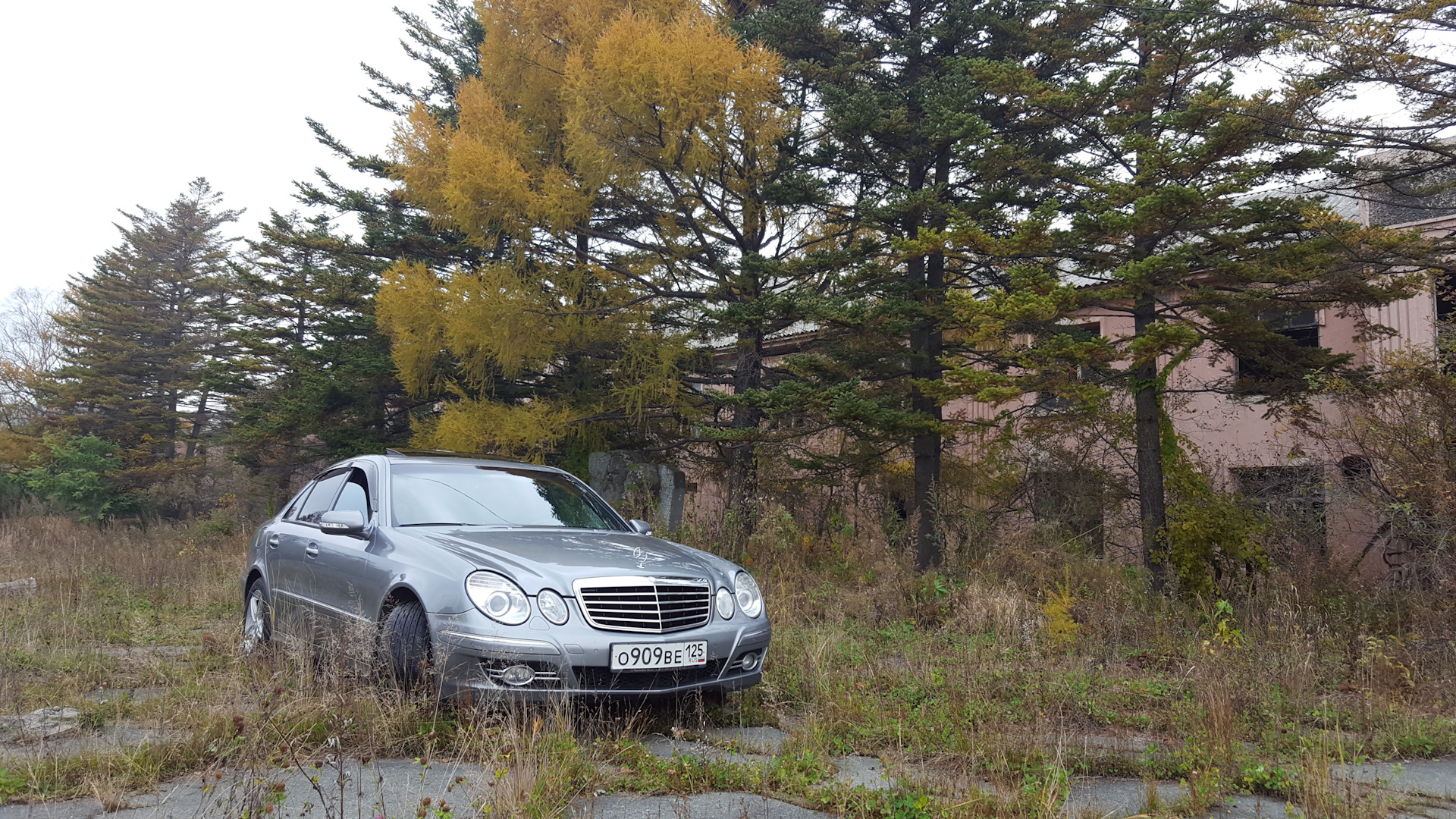 Mercedes-Benz E-class (W211) 3.0 бензиновый 2007 | E280 4MATIC AVANTGARDE  на DRIVE2