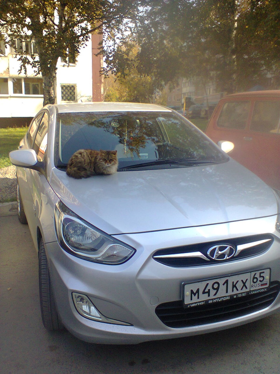 Про Кота-автолюбителя — DRIVE2