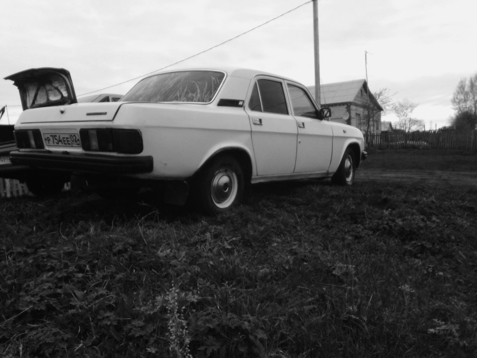 Назад в прошлое — ГАЗ 31029, 2,5 л, 1993 года | фотография | DRIVE2