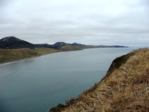 Фото в бортжурнале Nissan Safari (Y60)