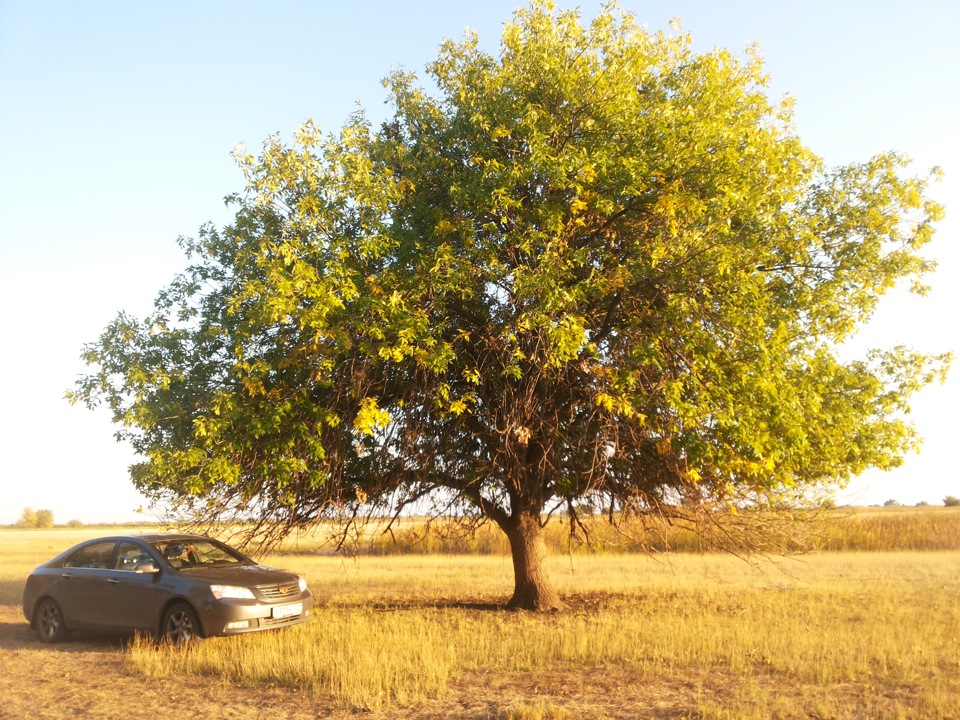 Фото в бортжурнале Geely Emgrand EC7 FE-1