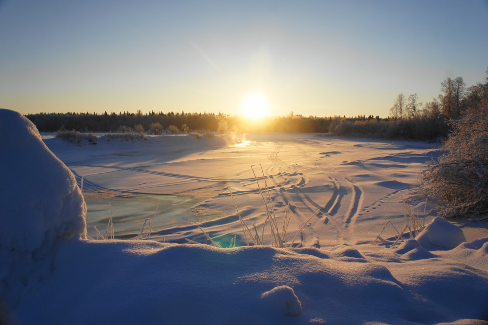 Прогулка по зимнему лесу — DRIVE2