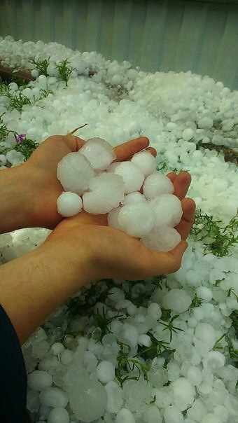 Фото в бортжурнале Opel Astra H GTC