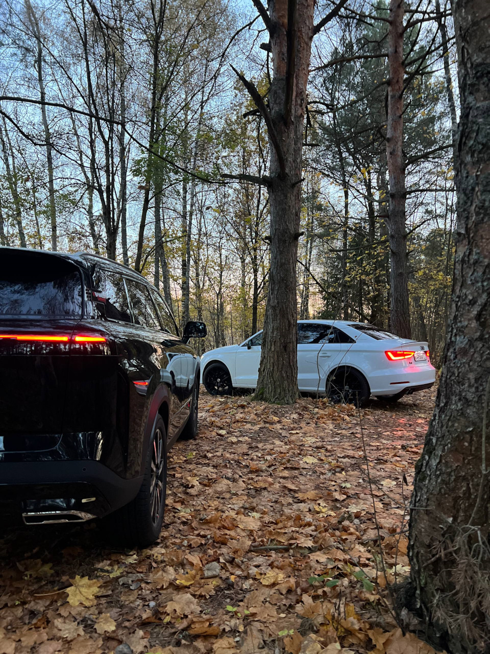 Колесо внутри арки — Jaecoo J7