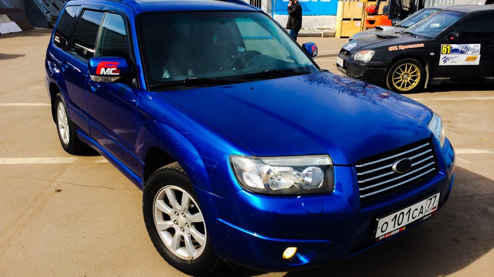Subaru Forester Wasp Foster