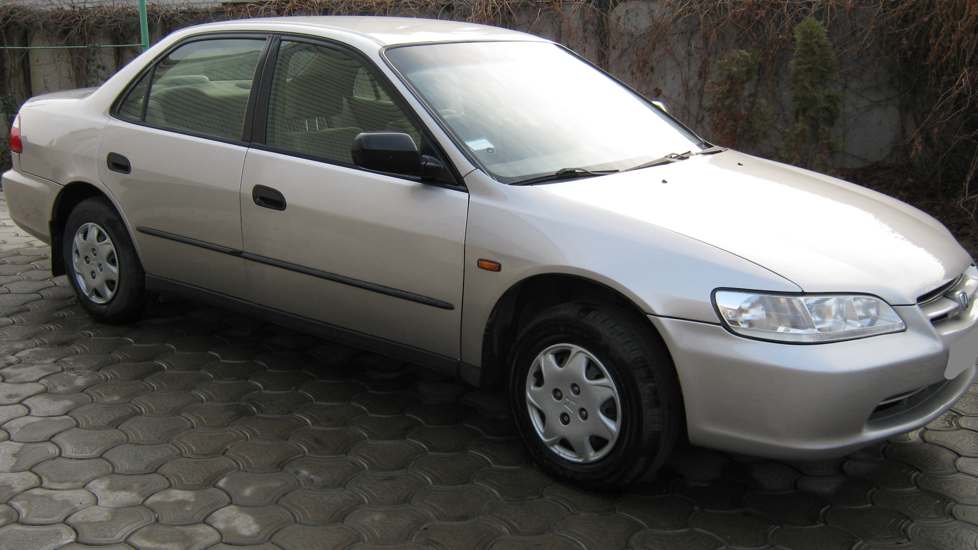 Honda Accord (6G) 2.0 бензиновый 1999 | на DRIVE2