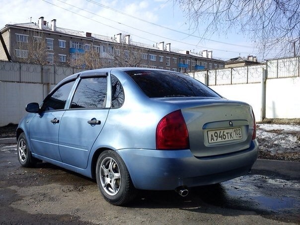 Боровница 451. Цвет боровница 451. Боровница 451. Боровница 451 калина. Калина цвет боровница.