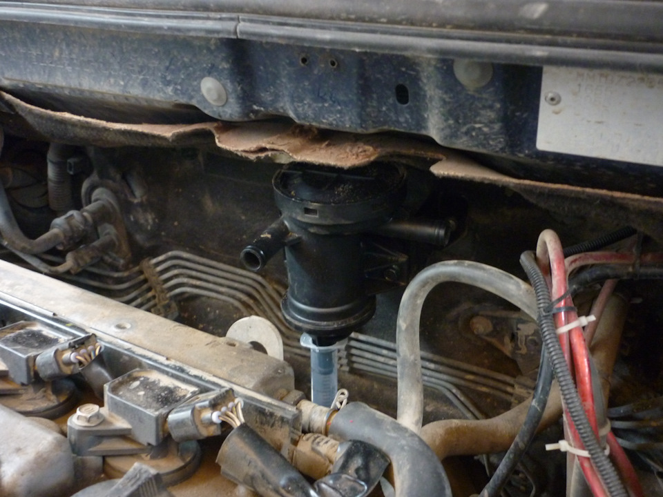 Примерочка, отстойник из 20-ти кубового шприца встал, как родной и вроде бы ничего не мешает, места для шлангов предостаточно. — Toyota Corolla (120)