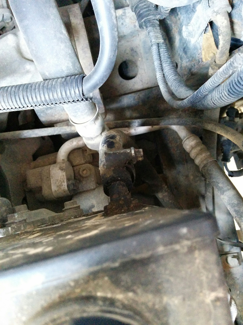 Шланг засран грязью но запотевания нет — SsangYong Kyron