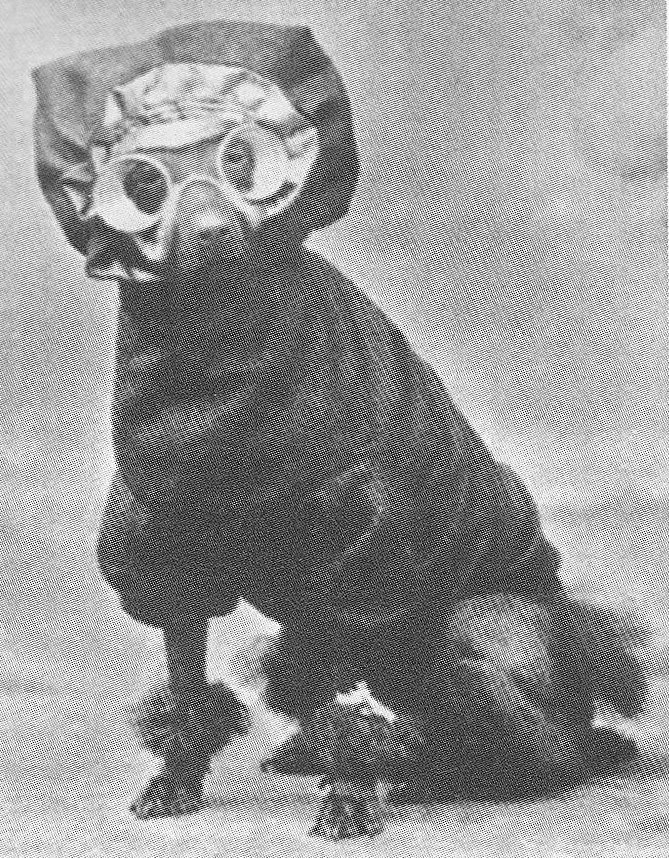 Одежда первых автомобилистов 3 — DRIVE2