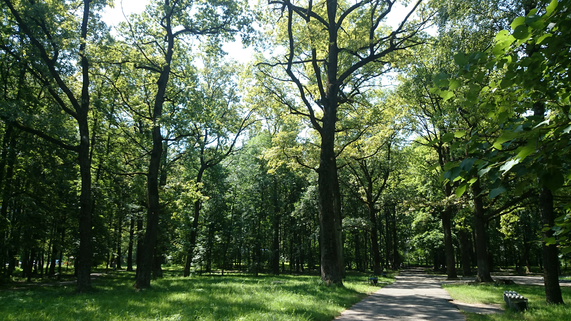 Парки брянска фото