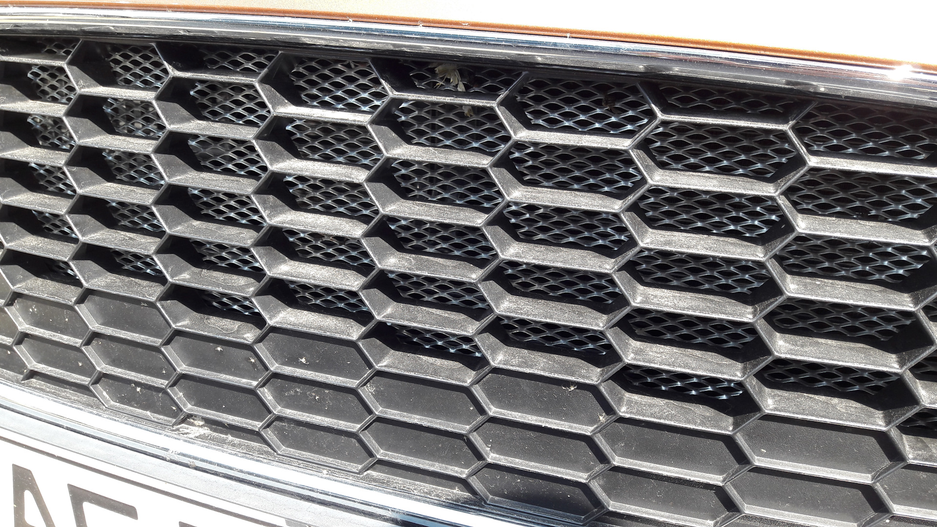 Купить Сетку В Бампер Авто