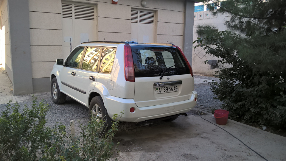 Аж прям светится! — Nissan X-Trail I (t30)