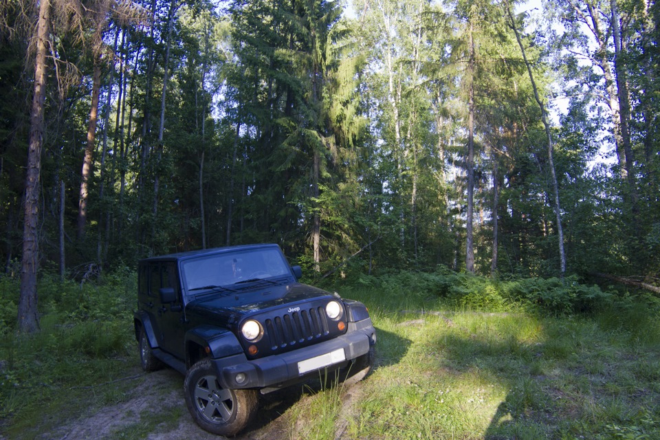 Фото в бортжурнале Jeep Wrangler (JK)