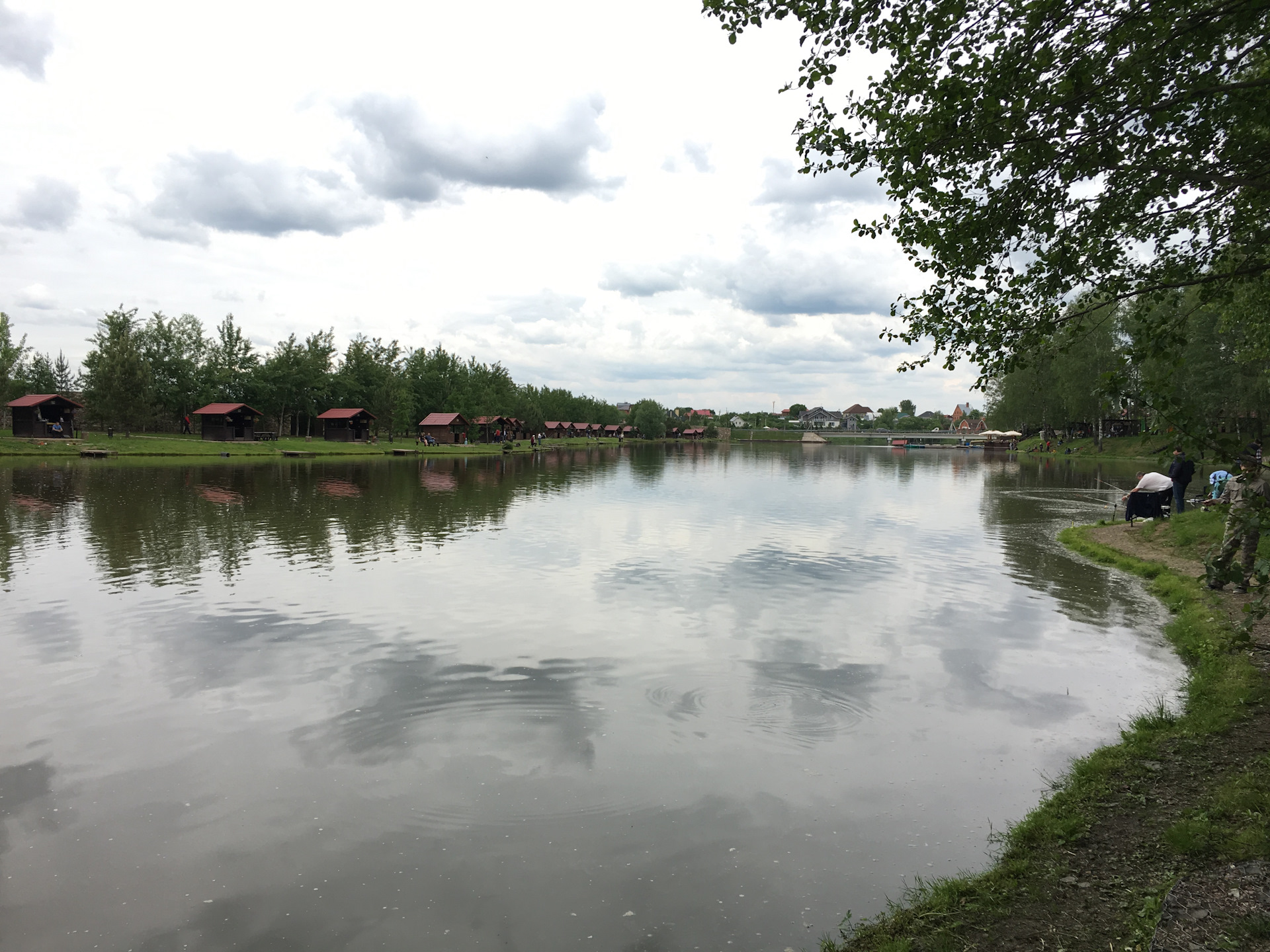 Пруд сеть. Пруд сеть. Тропинка к пруду. Парк у воды отражение. Озера в мв.