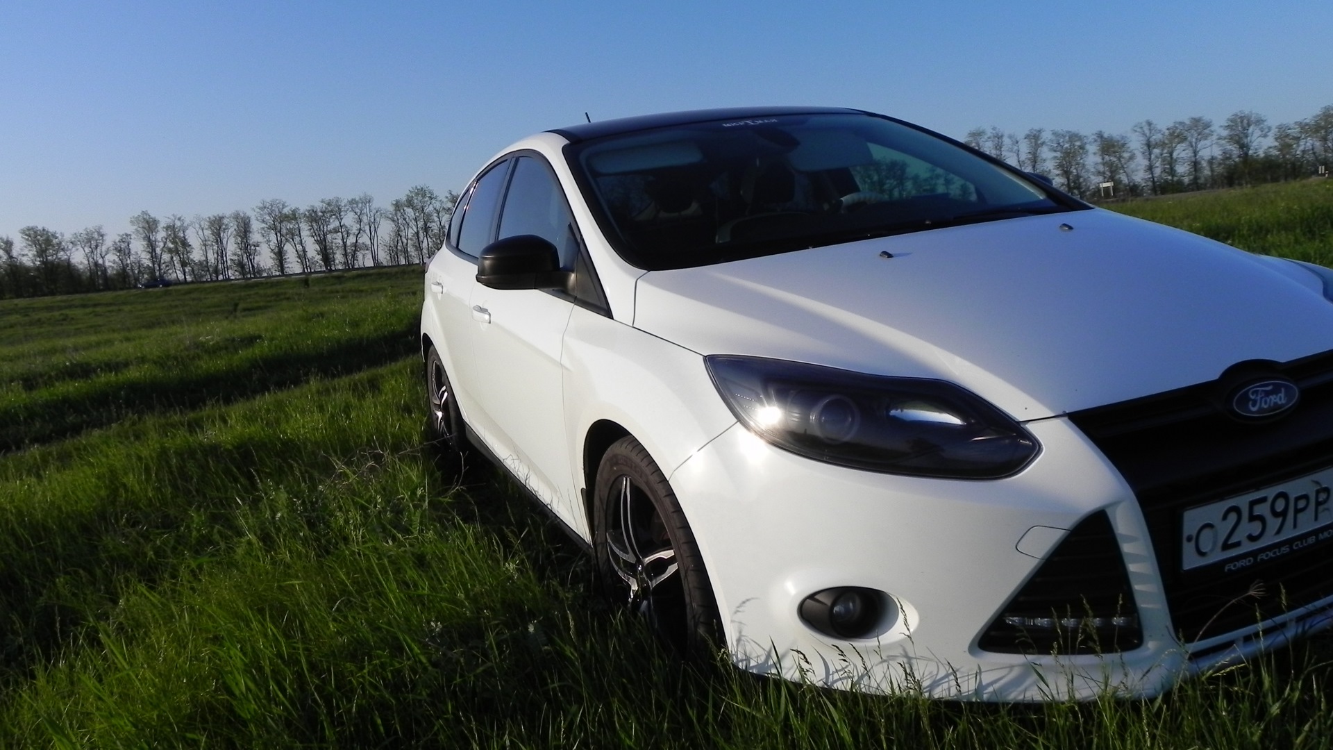 Ford Focus 3 Р±РµР»С‹Р№