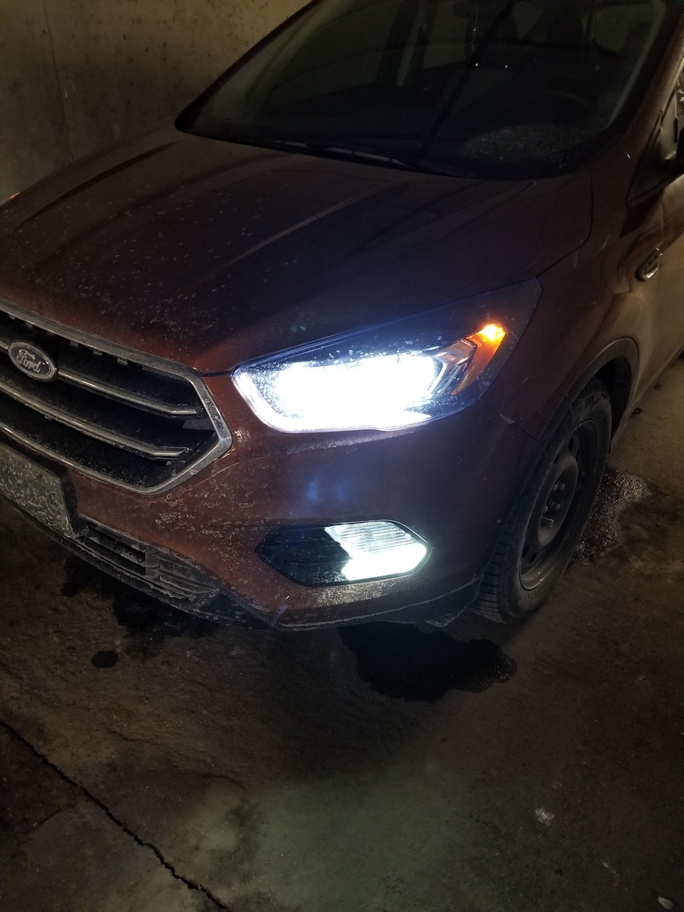 Turbo LED — Ford Escape (3G), 2 л, 2017 года | аксессуары | DRIVE2