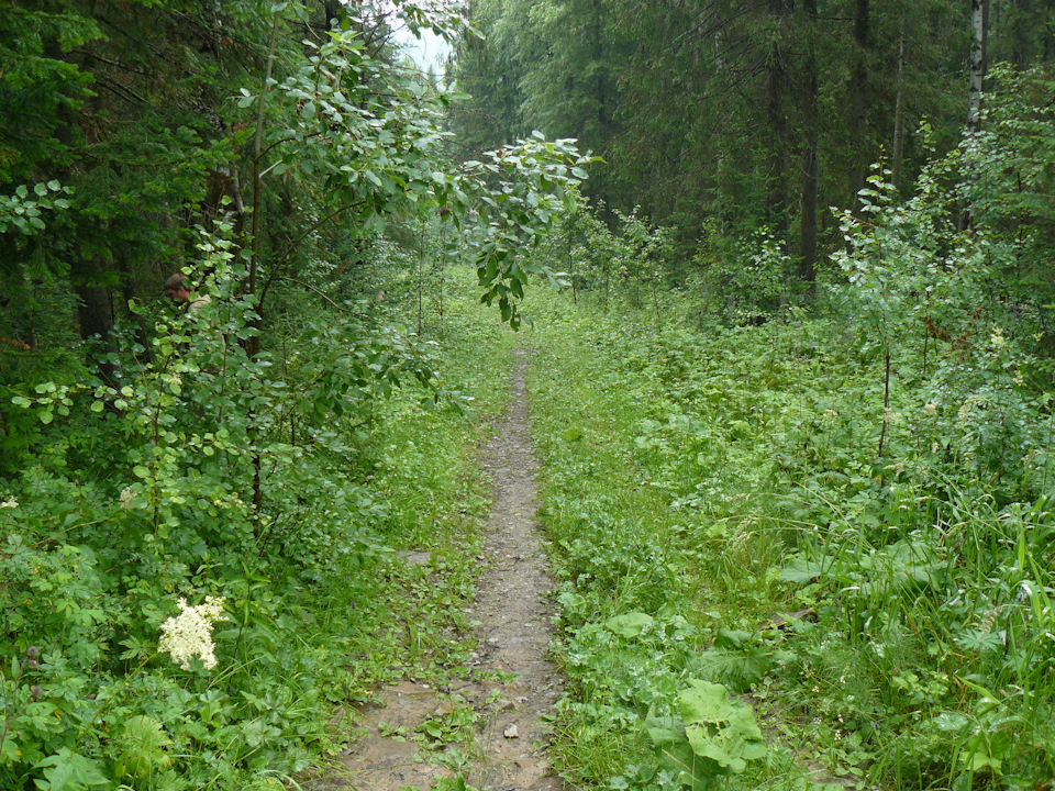 Спуск к пещере. — Chevrolet Niva (1G)