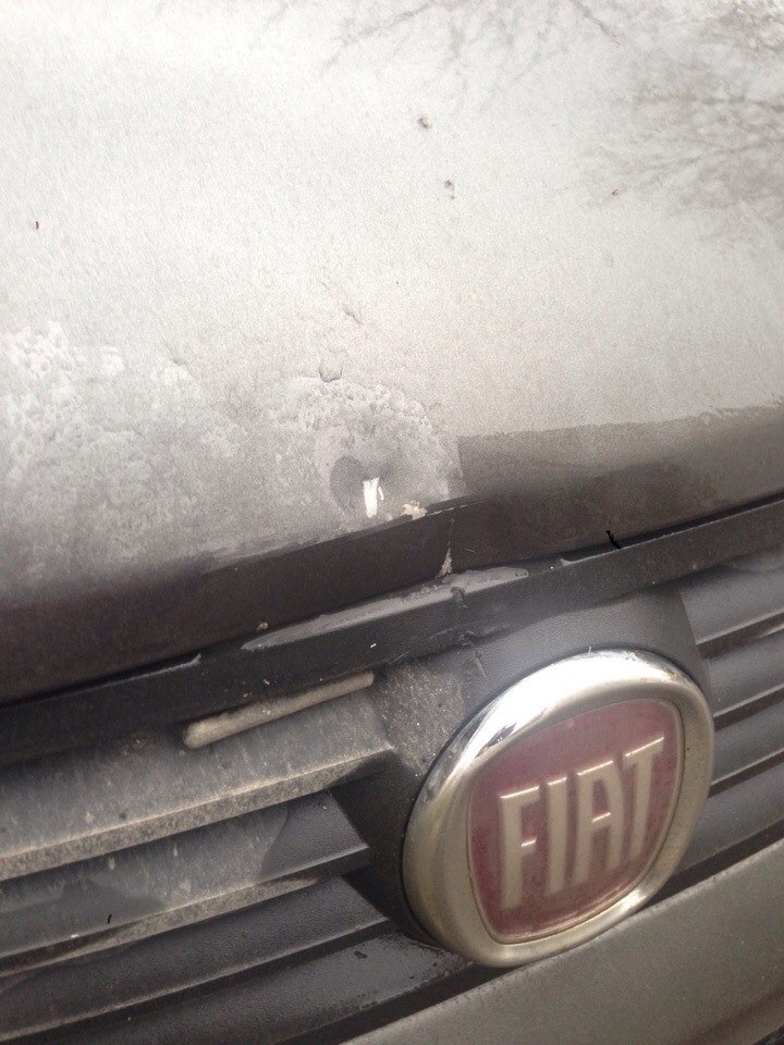 Вот и стоимость узнали.) — FIAT Albea, 1,4 л, 2008 года | кузовной ...