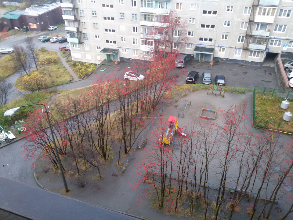 Мурманск в новгород