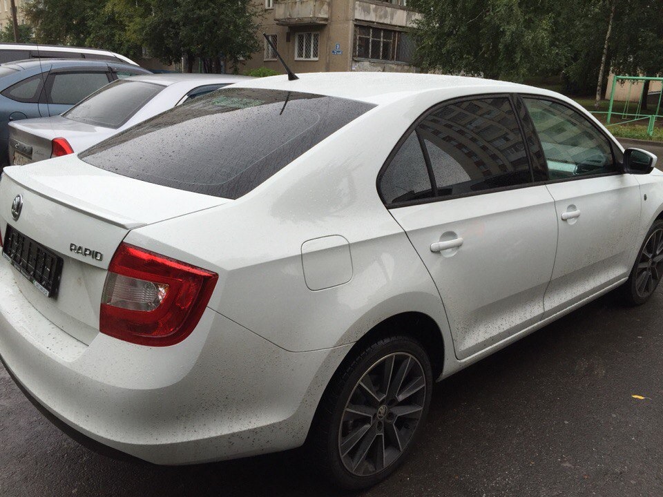 Тонировка шкода. Skoda octavia a7 тонировка 50%. Тонировка фар шкода рапид 2021. Тонировка 35% рапид. Шкода рапид 2 тонировка.