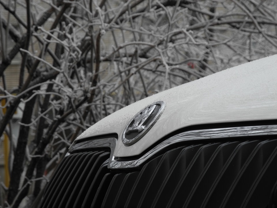 8 — Skoda Octavia A7 Mk3