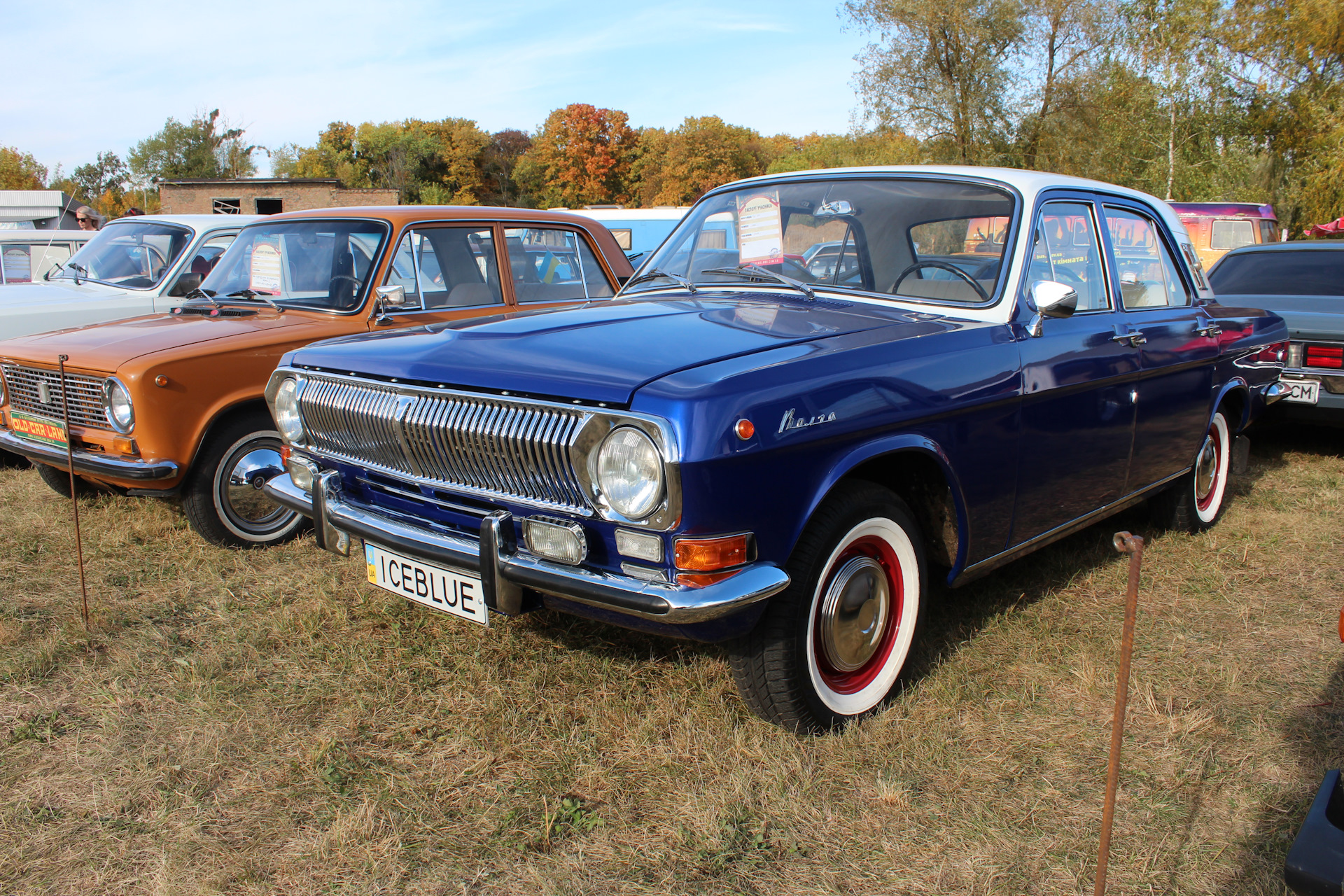 Газ 3110 волга мурена. Газ 3110 металлик. Волга газ 2410 голубая. Газ 2410 синий. Цвета волги.