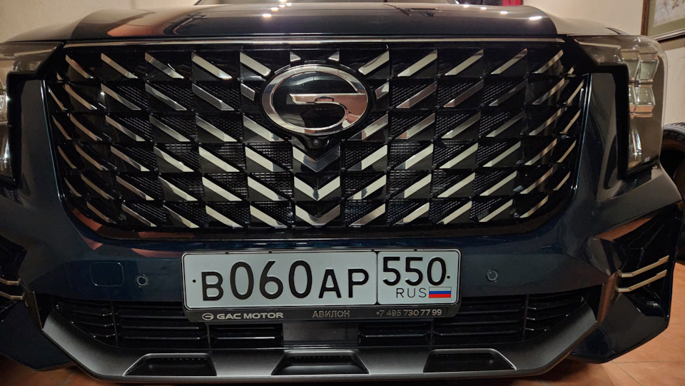 Сетку все таки решил поставить — GAC GS8 (2G), 2 л, 2023 года ...