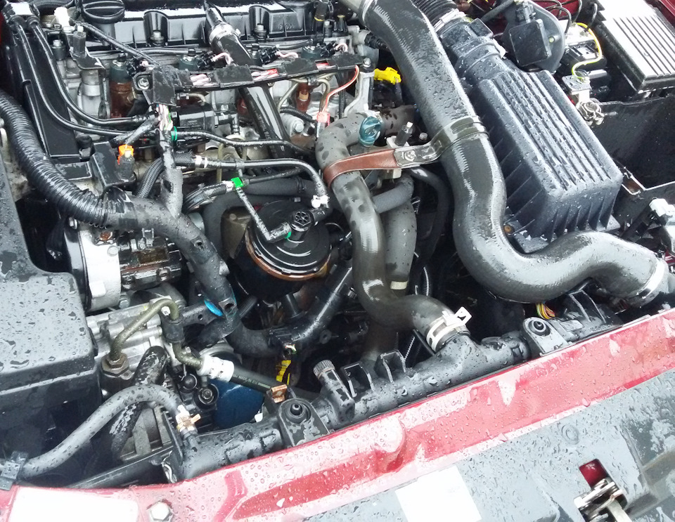 Фото в бортжурнале Peugeot 406