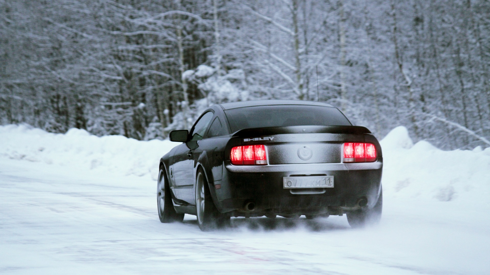 Ford Mustang (5G) бензиновый 2008 | Змея на DRIVE2