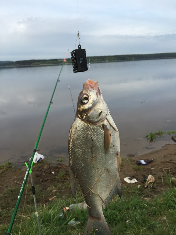 Макаровское водохранилище