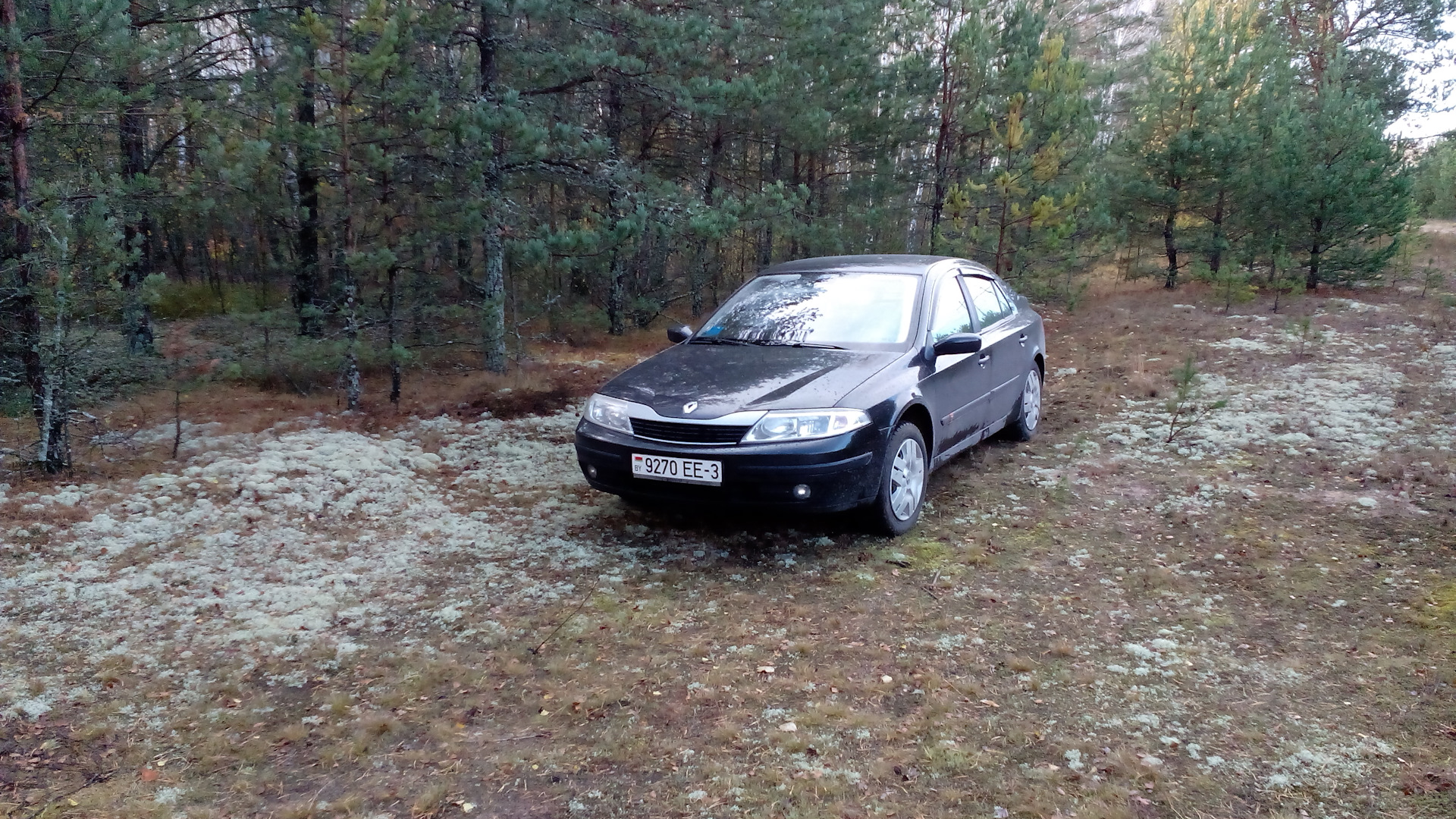 Renault Laguna II 1.8 бензиновый 2002 | 2 Ph 1 Black Widow на DRIVE2