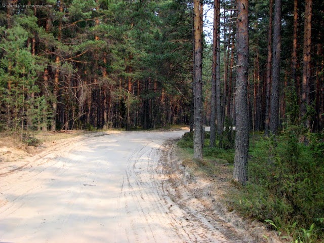 Село Овсище Тверской Области Фото