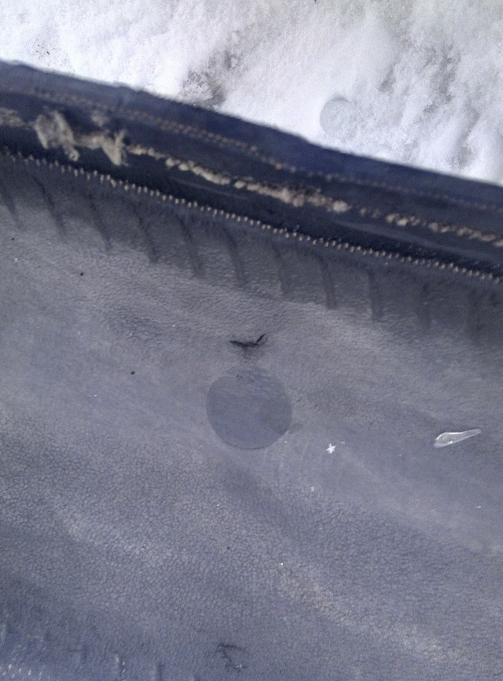 Мясной день. Или Нордман 7 — Lada Kalina Cross, 1,6 л, 2015 года | шины ...