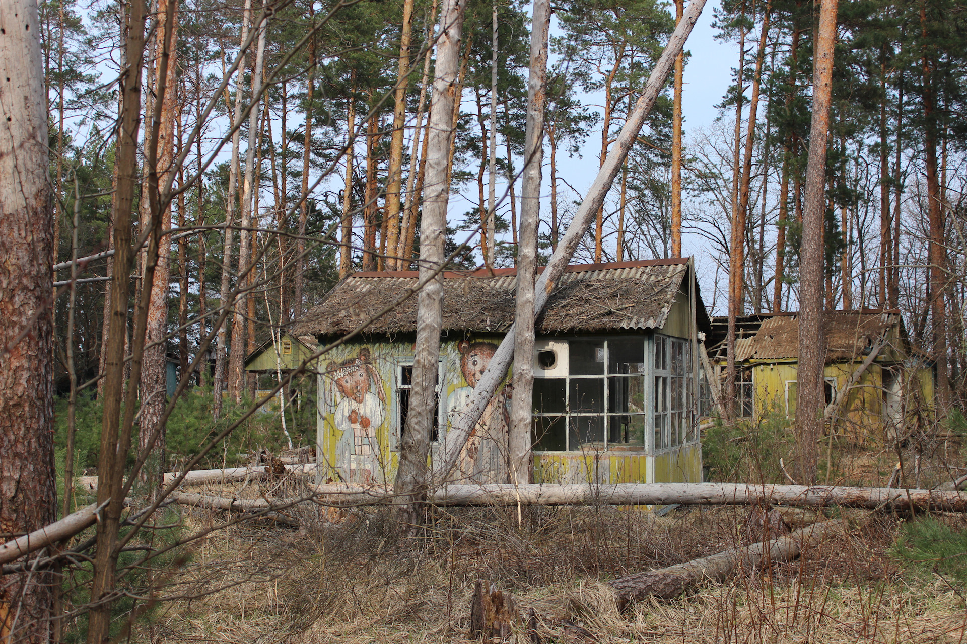 Уланов сергей александрович изумрудное фото