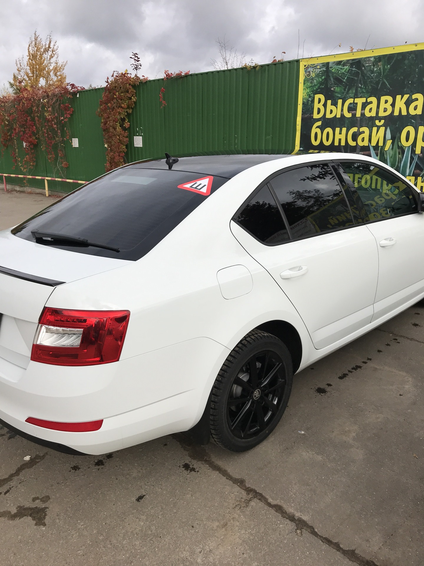 Я люблю свою страну, но ненавижу государство! — Skoda Octavia A7 Mk3, 1,4  л, 2016 года | другое | DRIVE2