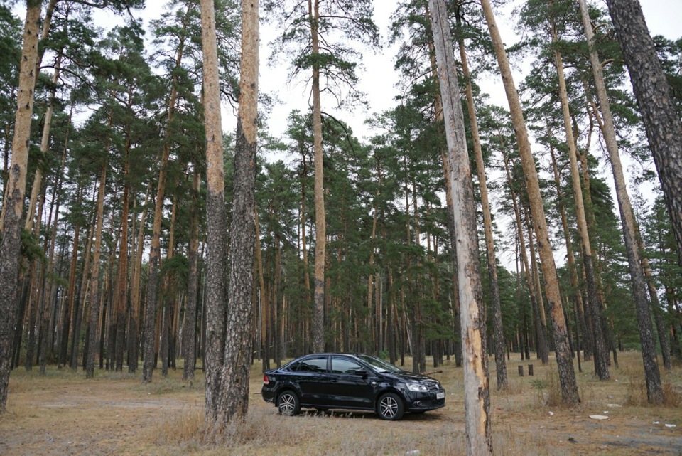 Моя поездка в Липецк 10.10.15 — Volkswagen Polo Sedan, 1,6 л, 2011 года ...