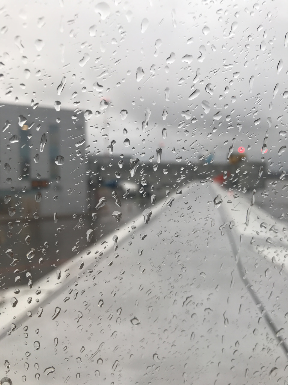 С чистой совестью можно сваливать из Питера 🌧 — Audi Allroad (C5)