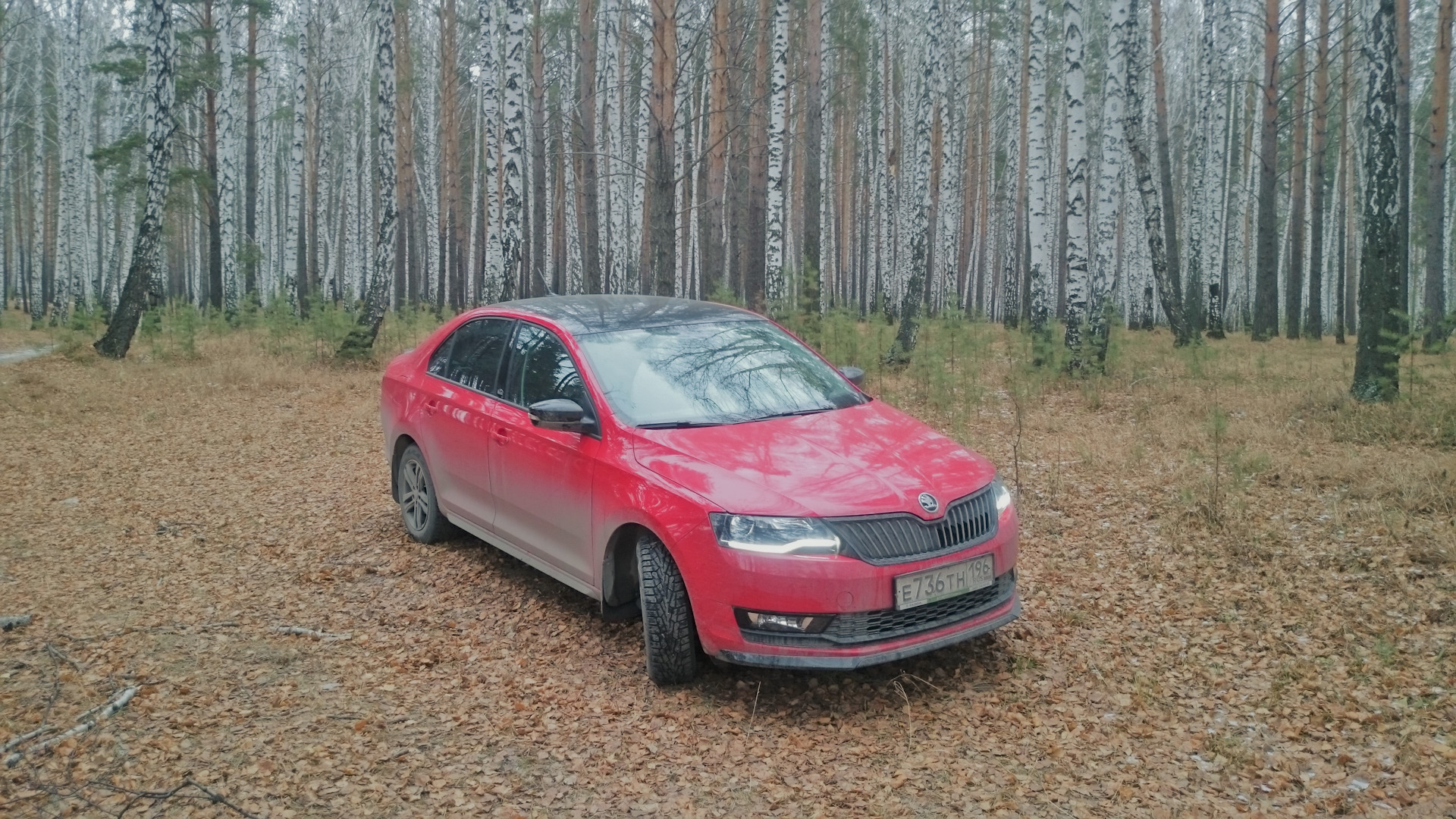 Задний фонарь Skoda Rapid Monte Carlo