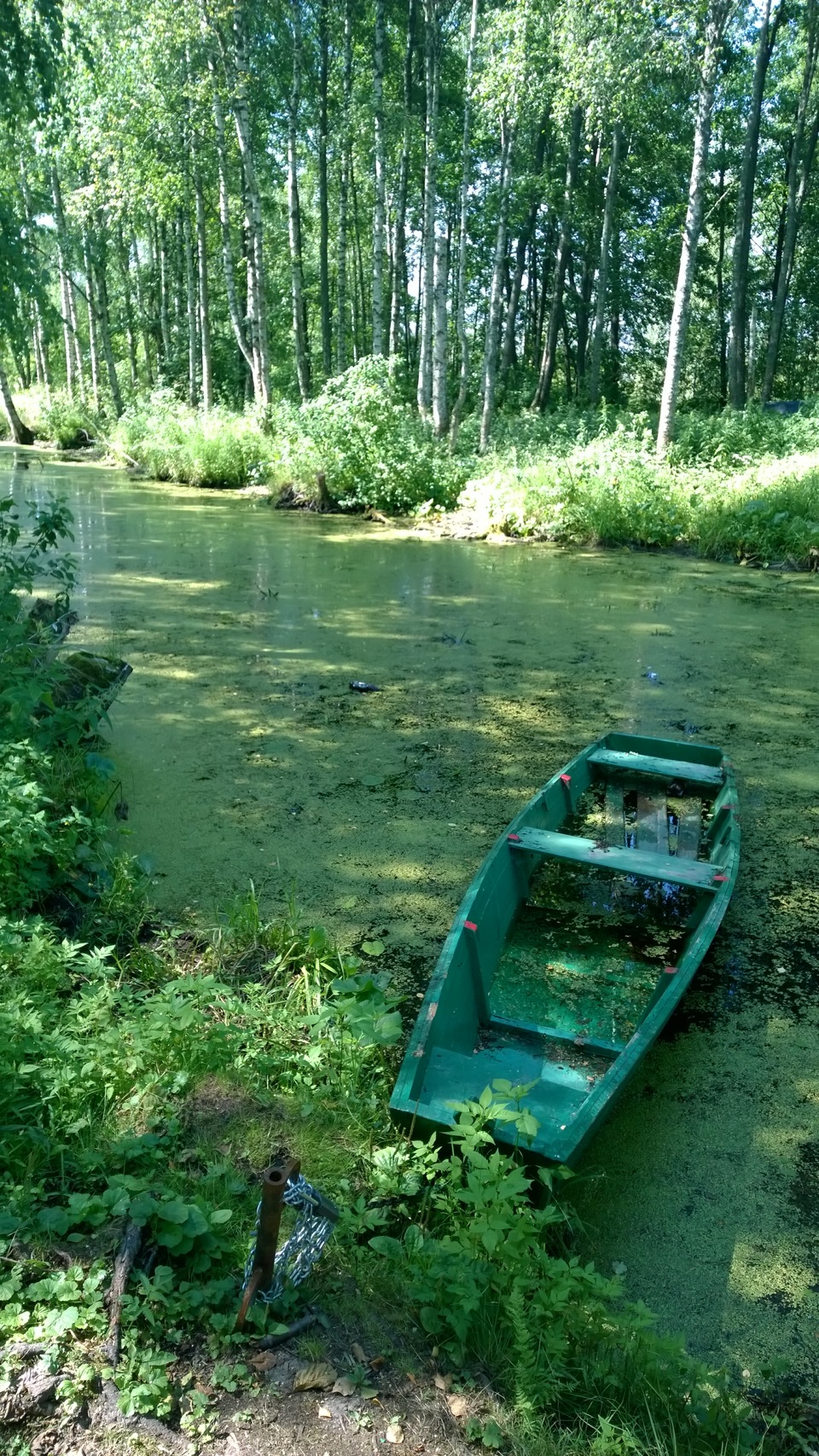 опухлики голубые озера