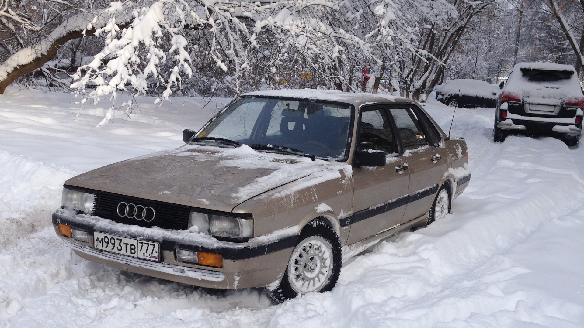 Audi 90 (B2) 2.2 бензиновый 1985 | Typ 85 quattro на DRIVE2