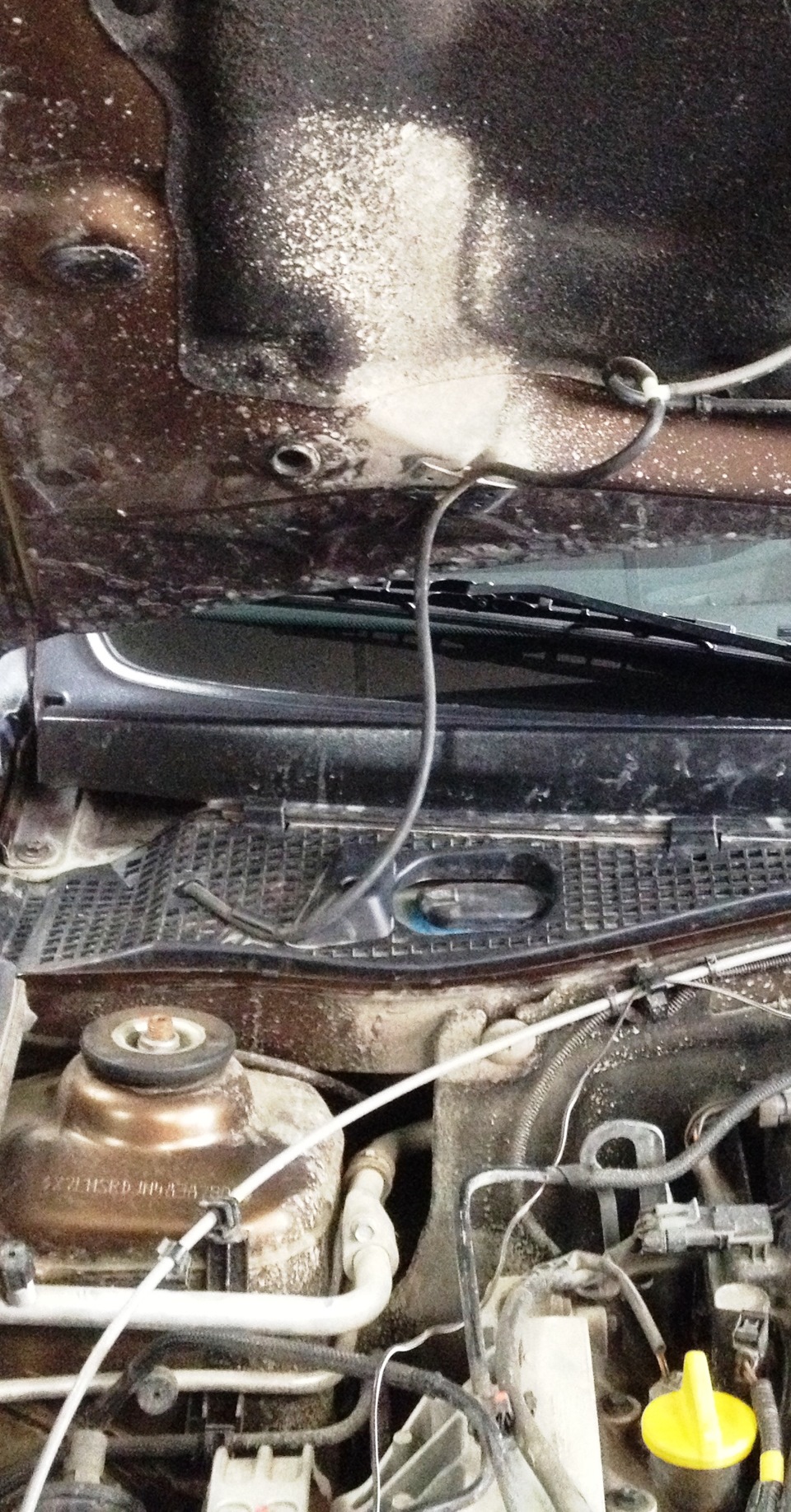 Локальная грязь под капотом. — Renault Duster (1G), 2 л, 2013 года ...