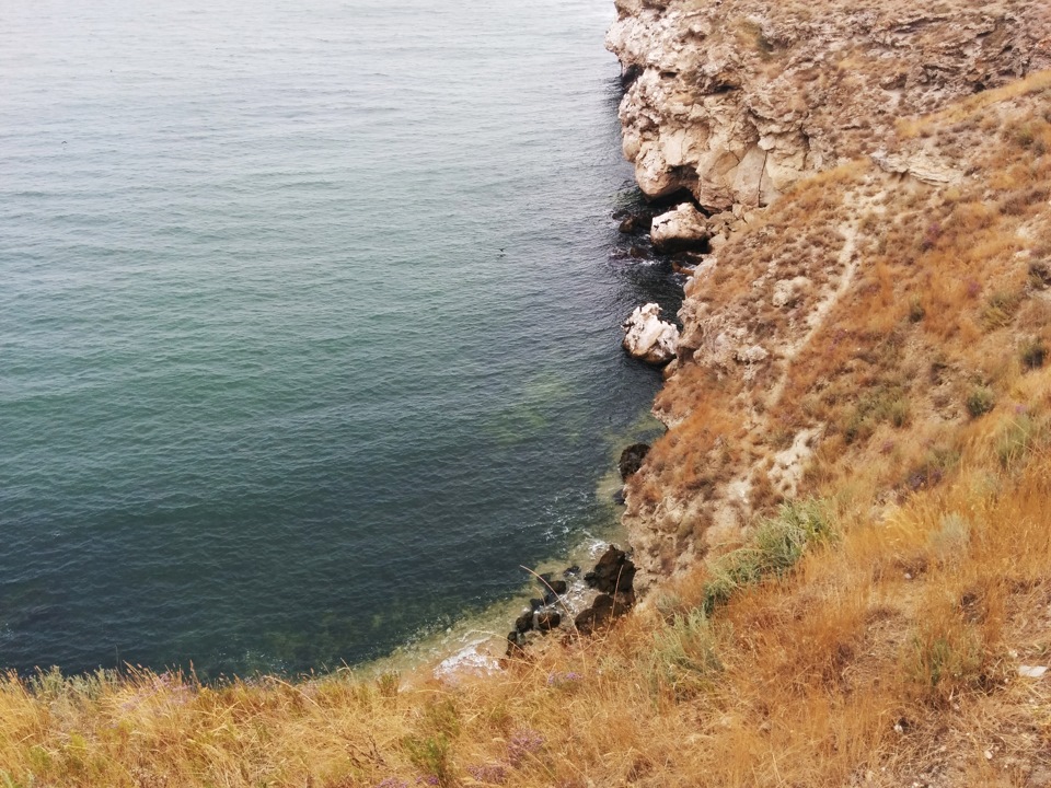 Село заводское. Крым Щелкино село заводское. Крым заводское фото.